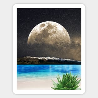 Aloe Vera Moon Beach Sticker